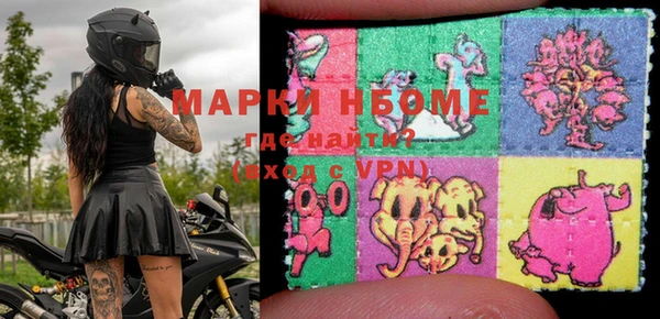 прущие грибы Аша