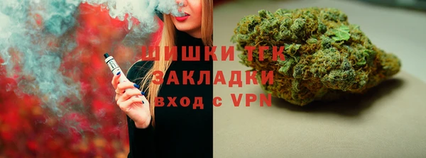 индика Волосово