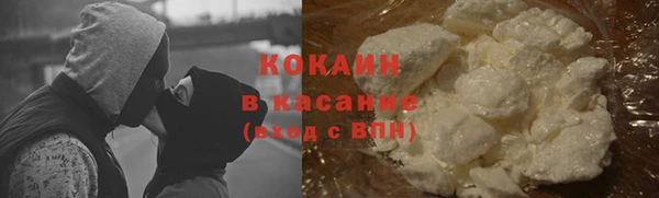 прущие грибы Аша