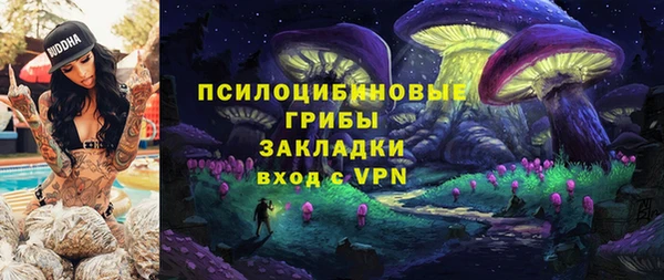 индика Волосово