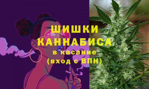 индика Волосово