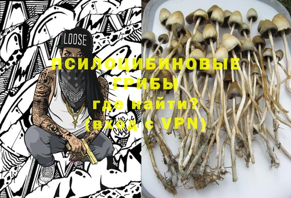индика Волосово