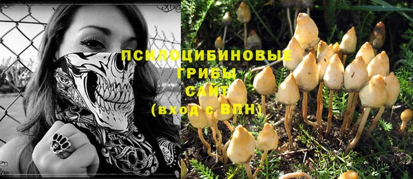 индика Волосово