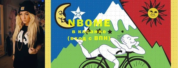 гашик Вяземский
