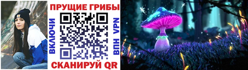 Псилоцибиновые грибы ЛСД  купить закладку  mega tor  Гдов 