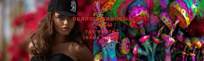 Галлюциногенные грибы Magic Shrooms  купить  цена  Гдов 