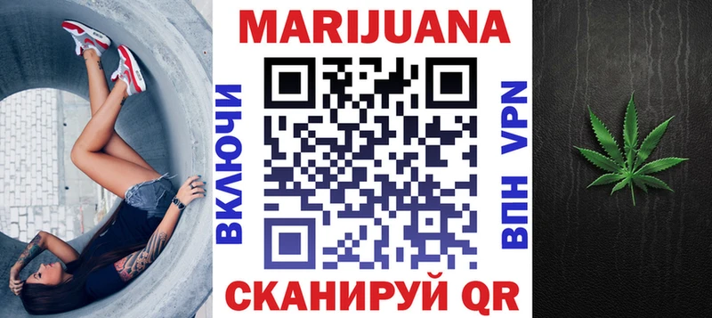 как найти закладки  Гдов  Каннабис сатива 